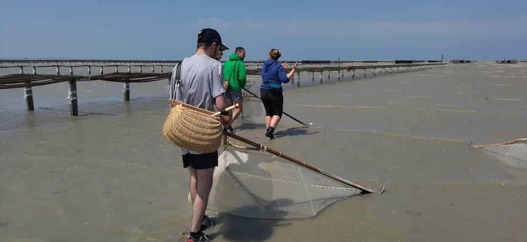 https://lafeecocoon.com/rando-initiation-peche-a-pied-crevettes-cie-en-baie-du-mont-saint-michel/